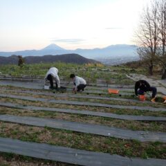 作業終了まじか富士山が夕陽に照らされています