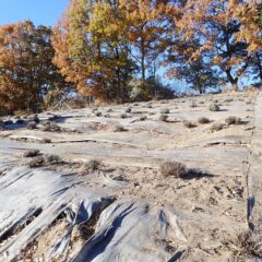 綺麗になってスッキリしました