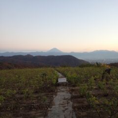 片付け作業は日が沈むまで続けられました