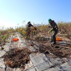 今日はこちらで作業中