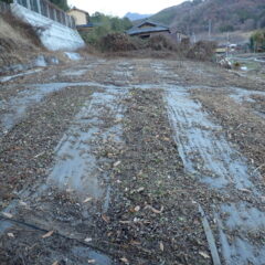 刈り取ったヨモギを片付けて畑を綺麗にしました