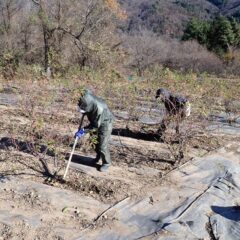 頭から足まで防寒対策をしての作業です