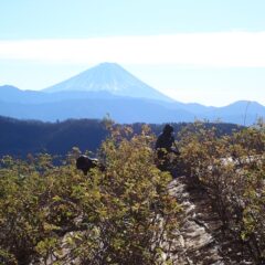 凍るように冷たい風が吹き荒れている中で作業しています