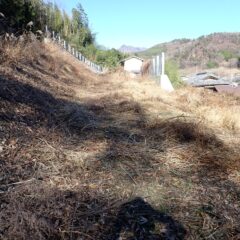 草刈り作業開始