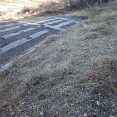 やっとのことで急斜面の雑草も借り終わりました