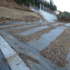 ヨモギ畑の草刈り作業終了