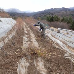 写真には写りませんがチラチラと粉雪が舞っています