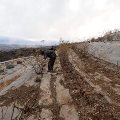 ここまでで今年の仕事納めとなりました