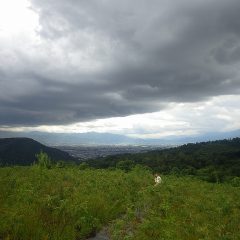 午後になって雲行きが怪しくなって来ました