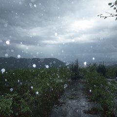 あっという間に土砂降りの雷雨になり作業中止となりました