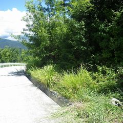 先日、急な雨で中断した農場周辺の草刈りをしました