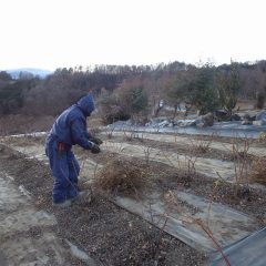 日が傾いて夕方になると一気に気温が下がってきます