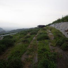 刈り取りが終わるとバラバラと大粒の雨が落ちてきました