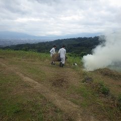 刈り取った草を畑の外に運び出します