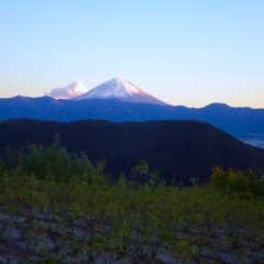 作業が終わる頃、夕陽に照らされた富士山が見えました