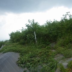 一気に黒い雲に覆われてしまい、また本日も作業中止！