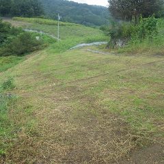 最後の畑の片付けが終わった頃には雨が本降りになりました