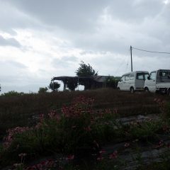 その直後、台風の様な雨と風に襲われました