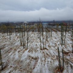 3月の始まりは雪化粧