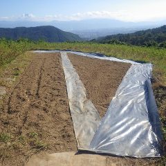防草シート張り終了