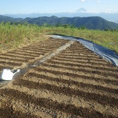水撒きをして本日の作業終了