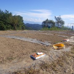 整地が終わっていよいよ種蒔き作業開始