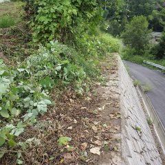 少しずつですが地道に作業するしかありません