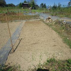 午後から畑の整地作業開始