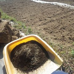 整地作業が終わったのでいよいよ種蒔き作業開始