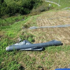 ボロボロになって雑草が生えてしまった防草シートの張り替え作業