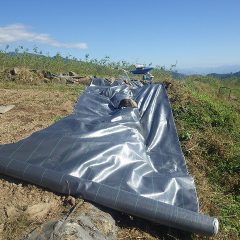張り替え作業開始
