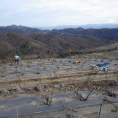 清掃作業にも力が入ります