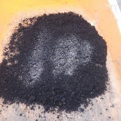 培養土に種を混ぜて均一になるように種を蒔きます