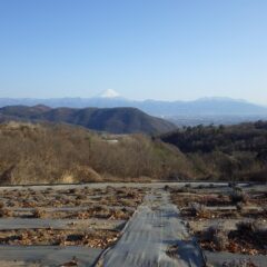 作業が終わってラベンダー畑から富士山を望む