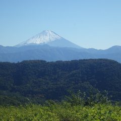 雪化粧