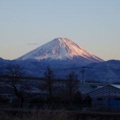 夕暮れ時