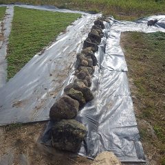 防草シートが張り終わったら石を元に戻して完了