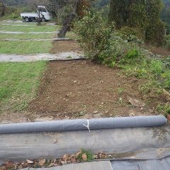 除草してから防草シートを張ります