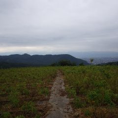 曇り空ということもあり一遍に秋の空気になったローズ畑