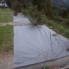 防草シートを張って完了