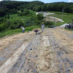 取った草を片付けるまでが除草作業です