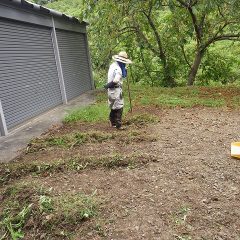 手分けして農機具置き場の除草作業も行いました