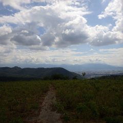 9月に入ってから17日中16日が真夏日以上