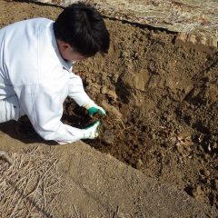 固まった土を砕いて細かくします
