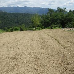 100％有機質の土壌改良材を散布した畑を耕運して種蒔きの準備が出来ました