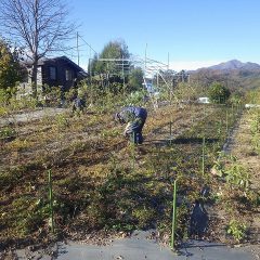 寒風に耐えながら作業を進めています