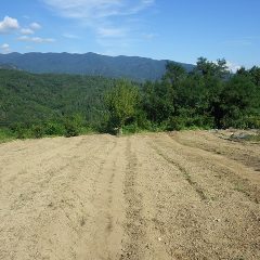 畑が広いので三本の排水路で四面に仕切りました