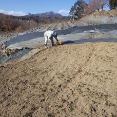 今年も除草作業が始まりました