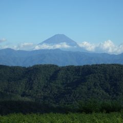 お久しぶり