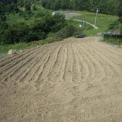 こちらの畑は2回目の耕運が終わって種蒔きの準備完了です